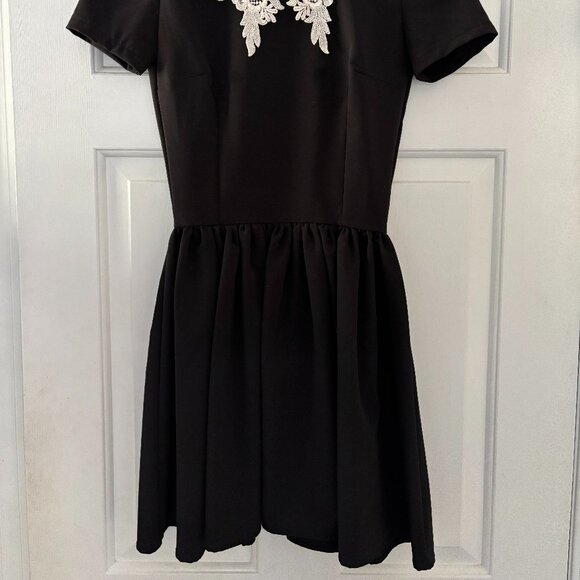 Deandri Roselle Lace Collar Dress - Picture 3 of 6